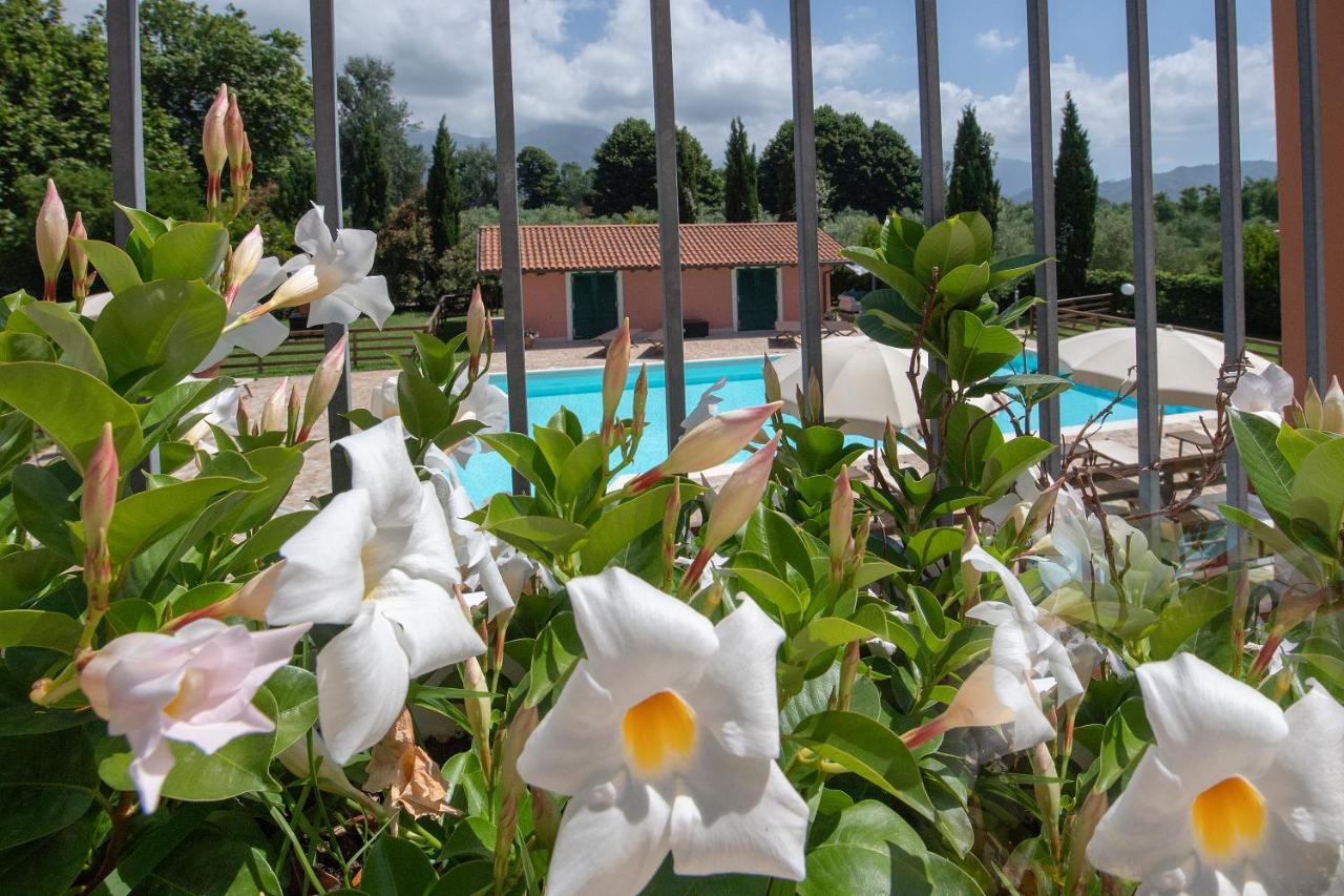 Relais Villa Isabel Pietrasanta Dış mekan fotoğraf